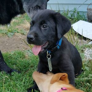 Meet your Posher, Connie